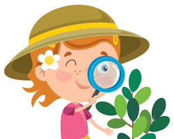 Experimental learning